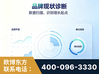 河池-品牌现状诊断