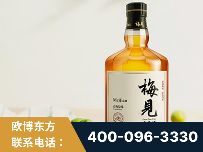 河池-梅见青梅酒