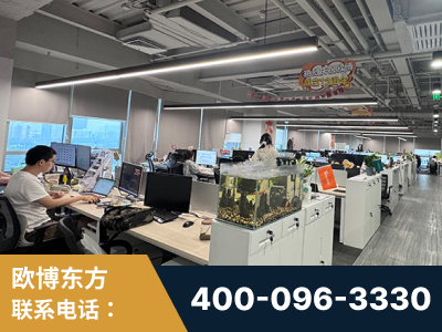 河池-企业展示图